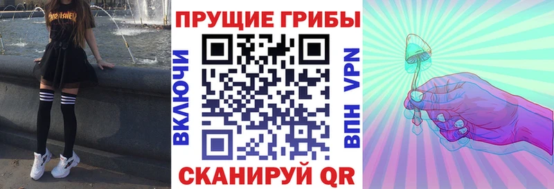 Галлюциногенные грибы мицелий где найти Сорск
